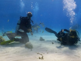 009 Steve at Stingray City IMG 5938